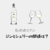 「ジンとシェリー(灰原哀)の関係性は元恋人？執着する理由を考察」のアイキャッチ画像