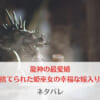 「龍神の最愛婚 捨てられた姫巫女の幸福な嫁入りネタバレとあらすじ！最終回の結末予想まとめ」のアイキャッチ画像