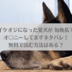 「イケオジになった愛犬が 毎晩私でオ〇ニーしてますネタバレ！無料で読む方法はある？」のアイキャッチ画像