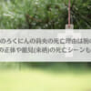 「十字架のろくにんの莉央の死亡理由は腕の切断？麗央の正体や能見(来栖)の死亡シーンも紹介！」のアイキャッチ画像