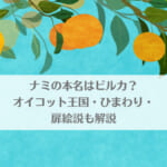 「ナミの本名はビルカ?オイコット王国･ひまわり･扉絵説も解説」のアイキャッチ画像