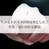 サカモトデイズの豹は死亡した？生死・弱いのかも解説