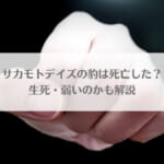 サカモトデイズの豹は死亡した？生死・弱いのかも解説